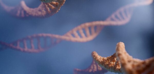 Photo article Elleke Tissink